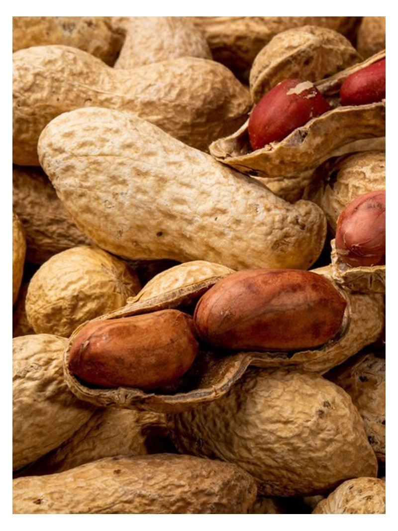 Cacahuetes AGS
