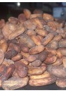 CACAO - Amelonado Fine Flavor